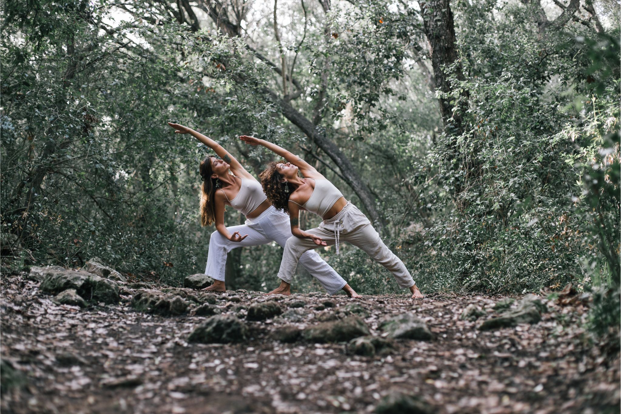 danza-de-almas-proyecto-yoga